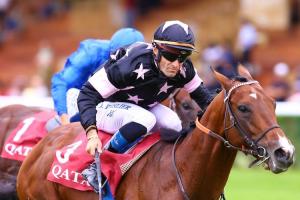 Factfiles: Qatar Prix de la Forêt 2018 Factfiles: Qatar Prix de la Forêt 2018