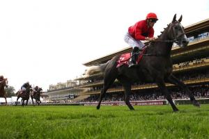 Qatar Arabian Trophy for Fillies (4-year-old fillies) : Al Shamoos on top of the pack Qatar Arabian Trophy for Fillies (4-year-old fillies) : Al Shamoos on top of the pack