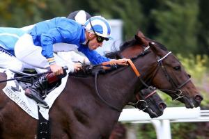 October maiden winners October maiden winners