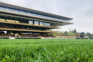 Good ground at ParisLongchamp Good ground at ParisLongchamp