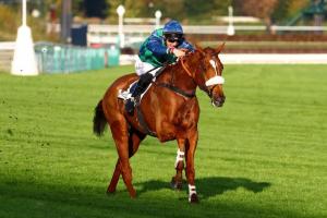 Galop Marin, nouveau roi des haies à Auteuil Galop Marin, nouveau roi des haies à Auteuil