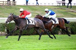 November maiden winners November maiden winners