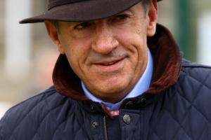 2018 : Nicolle takes the lead as new wave of jumps trainers arise