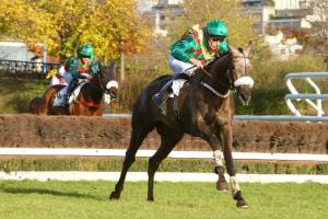 Master Dino réussit ses débuts anglais Master Dino réussit ses débuts anglais