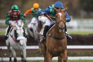 Jumps owners in 2018 : The Papot team flies away