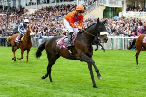 Silverwave aims Arc on Riviera