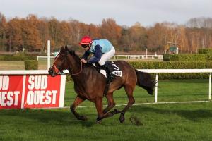 Uroquois and Forthing lead Bryant show at Pau