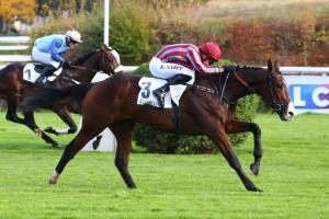 Fresh starts at Auteuil