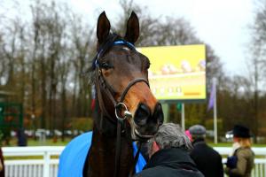 Maiden winners in March