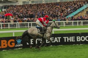 Espoir d’Allen, Klassical Dream and Duc des Genievres French heroes of the Festival opener