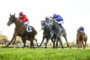 L'éternel retour de The Revenant