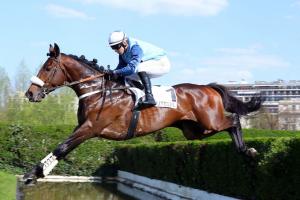 Goliath now reigns on his own