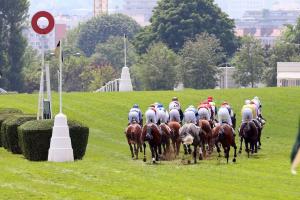 Another hot Sunday at Auteuil