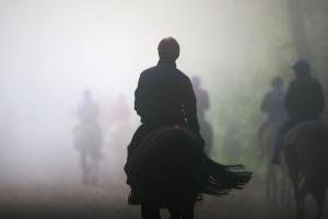 Grippe équine : renforcement des mesures sanitaires