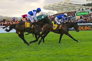 The French keep on winning at Cheltenham