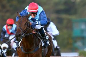 Galop Marin and Milord Thomas back in Paris