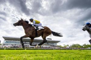 Pretty bouquets on lilies' day