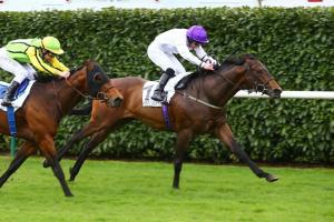 Prix Sigy : a sprint for the long run