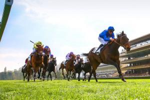 Grotte : Castle Lady's great leap forward