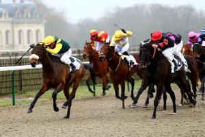 Lingfield All-weather championships : Pizzicato express !