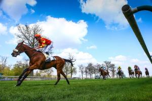 Big Brothers Pride is the new rocket in France!