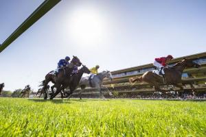 ParisLongchamp on the Chantilly classics road