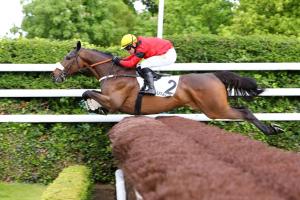 Prix Alain du Breil Hurdle: new challengers for Feu Follet