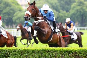 Ferdinand Dufaure Chase : Goliath du Berlais signs off with a dazzling victory