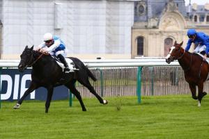 A new mark for Flop Shot