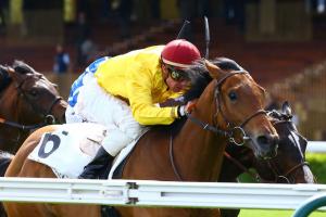 Petit Fils is still growing