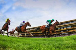 Saint-Alary : Siyarafina gets the job done