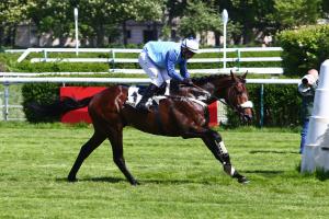 Prix Ferdinand Dufaure : Les nouveaux rivaux de Goliath Prix Ferdinand Dufaure : Les nouveaux rivaux de Goliath