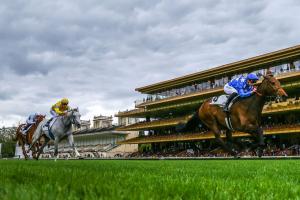 Vicomtesse Vigier : new deal in stayers' brigade