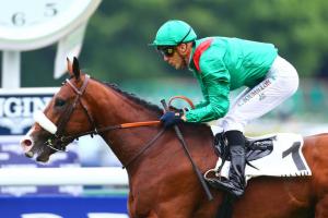 Zarkallani: the gamble of Alain de Royer Dupré