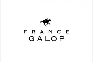 Décisions des instances juridictionnelles de France Galop (9 mai 2019) Décisions des instances juridictionnelles de France Galop (9 mai 2019)