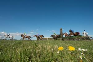 Fin d'une saison anglo-irlandaise très "FR" Fin d'une saison anglo-irlandaise très "FR"