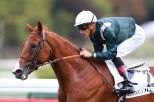 Moussac : Milers looking for a new path Moussac : Milers looking for a new path