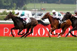 La Coupe : At a new crossroads La Coupe : At a new crossroads