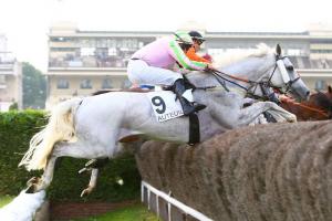 Drags Chase : Avengers meet at Auteuil