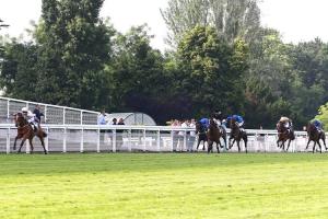 La Barka : a new Mullins raid on Auteuil