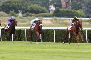 Malleret : In between Oaks Malleret : In between Oaks