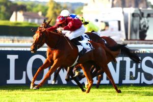 Arqana Chloé : Suphala back to her best Arqana Chloé : Suphala back to her best
