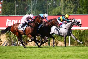 Grand Prix : Coronet wins well-deserved Gr1 Grand Prix : Coronet wins well-deserved Gr1