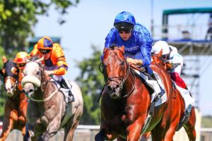 Gros-Chêne : Inns of Court, in a class of his own