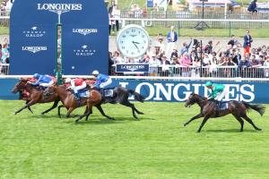 Hocquart Longines: Al Hilalee proves to be as tough as teak Hocquart Longines: Al Hilalee proves to be as tough as teak