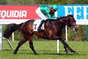 Hocquart Longines : a little strait towards the Grand Prix Hocquart Longines : a little strait towards the Grand Prix