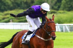 La Barka: Mr Adjudicator, the latest Mullins addition La Barka: Mr Adjudicator, the latest Mullins addition