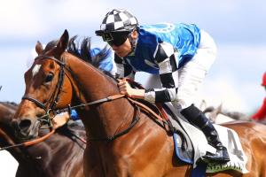 La Coupe : Danceteria keeps going in native France La Coupe : Danceteria keeps going in native France