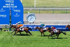 Sandringham : Irreductible Obligate