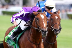 A resolute Japan wins Juddmonte Grand Prix A resolute Japan wins Juddmonte Grand Prix